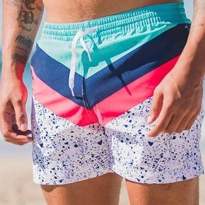 Chubbies swim trunks